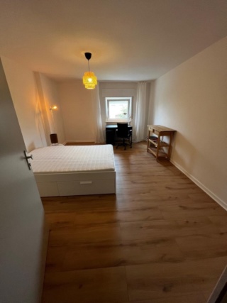 Renoviertes Zimmer mit Gemeinschaftsbad - KEINE KÜCHE / Renovated Room with shared bathroom - NO KITCHEN in Dornbusch, Frankfurt am Main